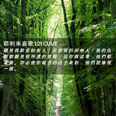 Picture 02 - 耶 利 米 哀 歌 1:21 CUVT - 聽 見 我 歎 息 的 有 人 ； 安 慰 我 - Bible Verse Picture