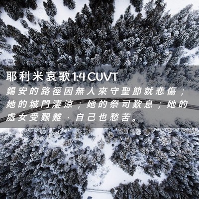Picture 02 - 耶 利 米 哀 歌 1:4 CUVT - 錫 安 的 路 徑 因 無 人 來 守 聖 節 - Bible Verse Picture