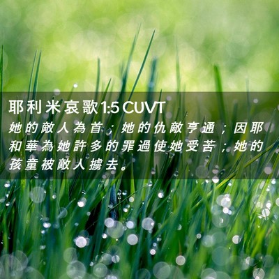 Picture 02 - 耶 利 米 哀 歌 1:5 CUVT - 她 的 敵 人 為 首 ； 她 的 仇 敵 亨 - Bible Verse Picture