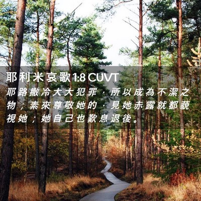 Picture 02 - 耶 利 米 哀 歌 1:8 CUVT - 耶 路 撒 冷 大 大 犯 罪 ， 所 以 成 - Bible Verse Picture