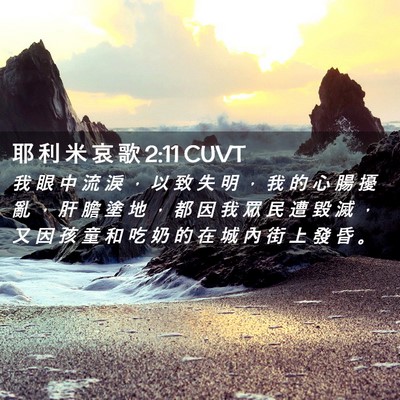 Picture 02 - 耶 利 米 哀 歌 2:11 CUVT - 我 眼 中 流 淚 ， 以 致 失 明 ， 我 - Bible Verse Picture
