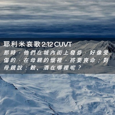 Picture 02 - 耶 利 米 哀 歌 2:12 CUVT - 那 時 ， 他 們 在 城 內 街 上 發 昏 - Bible Verse Picture