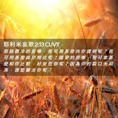 Picture 02 - 耶 利 米 哀 歌 2:13 CUVT - 耶 路 撒 冷 的 民 哪 ， 我 可 用 甚 - Bible Verse Picture