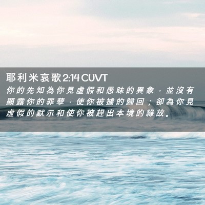 Picture 02 - 耶 利 米 哀 歌 2:14 CUVT - 你 的 先 知 為 你 見 虛 假 和 愚 昧 - Bible Verse Picture