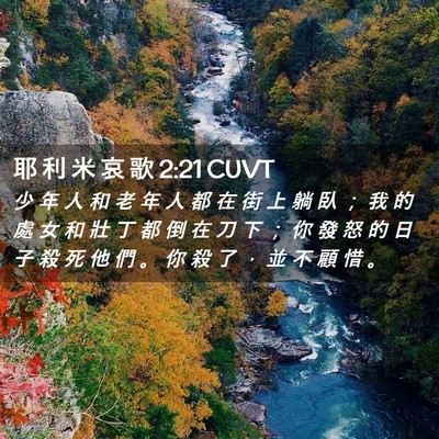 Picture 02 - 耶 利 米 哀 歌 2:21 CUVT - 少 年 人 和 老 年 人 都 在 街 上 躺 - Bible Verse Picture