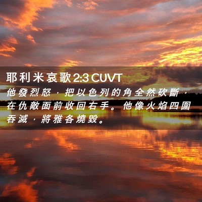 Picture 02 - 耶 利 米 哀 歌 2:3 CUVT - 他 發 烈 怒 ， 把 以 色 列 的 角 全 - Bible Verse Picture