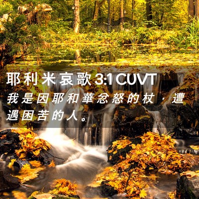 Picture 02 - 耶 利 米 哀 歌 3:1 CUVT - 我 是 因 耶 和 華 忿 怒 的 杖 ， 遭 - Bible Verse Picture