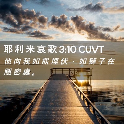 Picture 02 - 耶 利 米 哀 歌 3:10 CUVT - 他 向 我 如 熊 埋 伏 ， 如 獅 子 在 - Bible Verse Picture