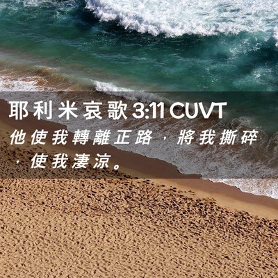 Picture 02 - 耶 利 米 哀 歌 3:11 CUVT - 他 使 我 轉 離 正 路 ， 將 我 撕 碎 - Bible Verse Picture