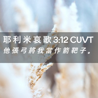 Picture 02 - 耶 利 米 哀 歌 3:12 CUVT - 他 張 弓 將 我 當 作 箭 靶 子 - Bible Verse Picture