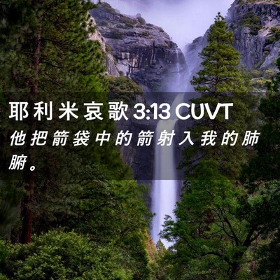 Picture 02 - 耶 利 米 哀 歌 3:13 CUVT - 他 把 箭 袋 中 的 箭 射 入 我 的 肺 - Bible Verse Picture