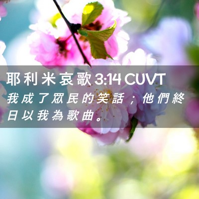 Picture 02 - 耶 利 米 哀 歌 3:14 CUVT - 我 成 了 眾 民 的 笑 話 ； 他 們 終 - Bible Verse Picture