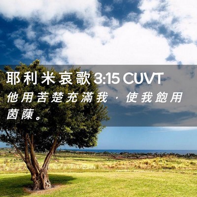 Picture 02 - 耶 利 米 哀 歌 3:15 CUVT - 他 用 苦 楚 充 滿 我 ， 使 我 飽 用 - Bible Verse Picture