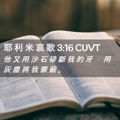 Picture 02 - 耶 利 米 哀 歌 3:16 CUVT - 他 又 用 沙 石 磣 斷 我 的 牙 ， 用 - Bible Verse Picture