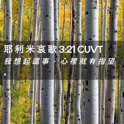 Picture 02 - 耶 利 米 哀 歌 3:21 CUVT - 我 想 起 這 事 ， 心 裡 就 有 指 望 - Bible Verse Picture