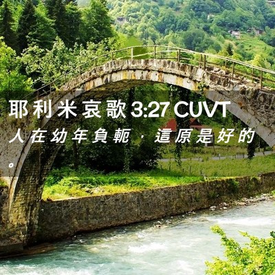 Picture 02 - 耶 利 米 哀 歌 3:27 CUVT - 人 在 幼 年 負 軛 ， 這 原 是 好 的 - Bible Verse Picture
