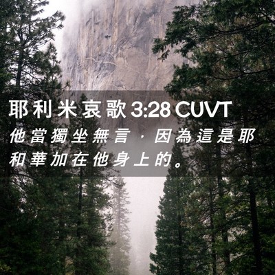 Picture 02 - 耶 利 米 哀 歌 3:28 CUVT - 他 當 獨 坐 無 言 ， 因 為 這 是 耶 - Bible Verse Picture