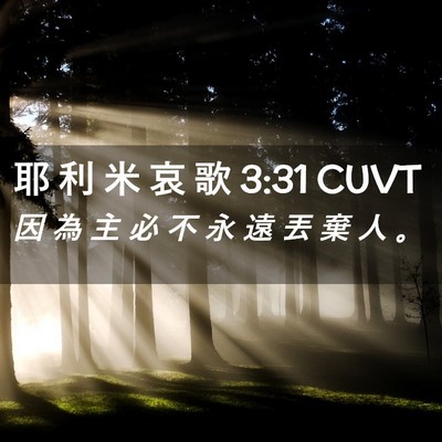 Picture 02 - 耶 利 米 哀 歌 3:31 CUVT - 因 為 主 必 不 永 遠 丟 棄 人 - Bible Verse Picture