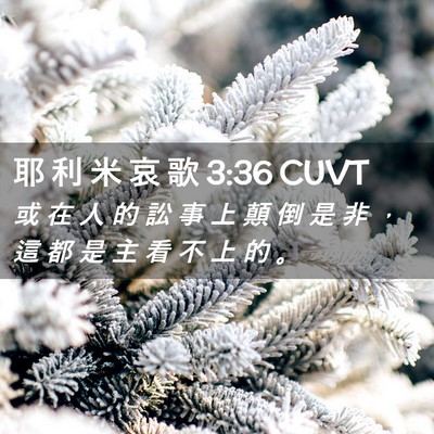 Picture 02 - 耶 利 米 哀 歌 3:36 CUVT - 或 在 人 的 訟 事 上 顛 倒 是 非 ， - Bible Verse Picture