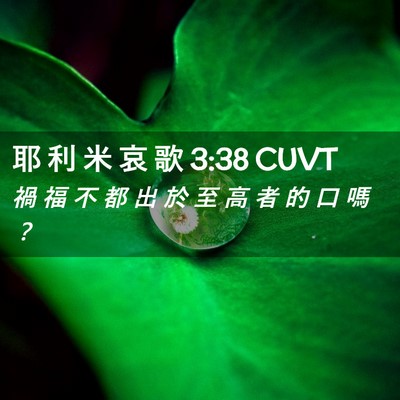 Picture 02 - 耶 利 米 哀 歌 3:38 CUVT - 禍 福 不 都 出 於 至 高 者 的 口 嗎 - Bible Verse Picture