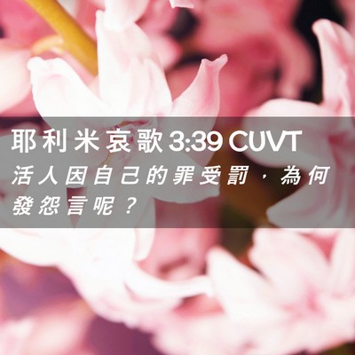 Picture 02 - 耶 利 米 哀 歌 3:39 CUVT - 活 人 因 自 己 的 罪 受 罰 ， 為 何 - Bible Verse Picture