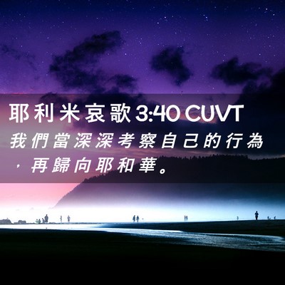 Picture 02 - 耶 利 米 哀 歌 3:40 CUVT - 我 們 當 深 深 考 察 自 己 的 行 為 - Bible Verse Picture