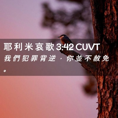 Picture 02 - 耶 利 米 哀 歌 3:42 CUVT - 我 們 犯 罪 背 逆 ， 你 並 不 赦 免 - Bible Verse Picture