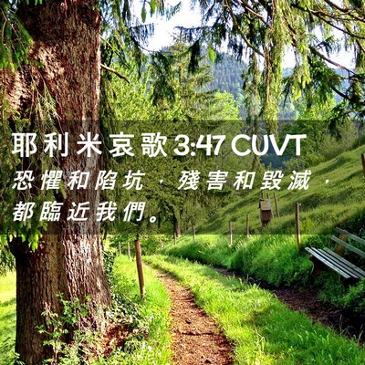 Picture 02 - 耶 利 米 哀 歌 3:47 CUVT - 恐 懼 和 陷 坑 ， 殘 害 和 毀 滅 ， - Bible Verse Picture