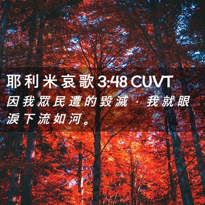 Picture 02 - 耶 利 米 哀 歌 3:48 CUVT - 因 我 眾 民 遭 的 毀 滅 ， 我 就 眼 - Bible Verse Picture