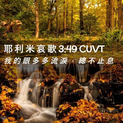 Picture 02 - 耶 利 米 哀 歌 3:49 CUVT - 我 的 眼 多 多 流 淚 ， 總 不 止 息 - Bible Verse Picture