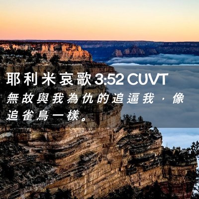 Picture 02 - 耶 利 米 哀 歌 3:52 CUVT - 無 故 與 我 為 仇 的 追 逼 我 ， 像 - Bible Verse Picture