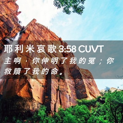 Picture 02 - 耶 利 米 哀 歌 3:58 CUVT - 主 啊 ， 你 伸 明 了 我 的 冤 ； 你 - Bible Verse Picture