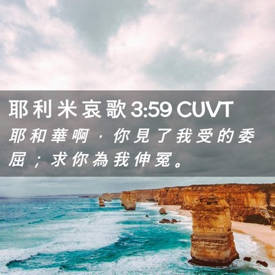 Picture 02 - 耶 利 米 哀 歌 3:59 CUVT - 耶 和 華 啊 ， 你 見 了 我 受 的 委 - Bible Verse Picture