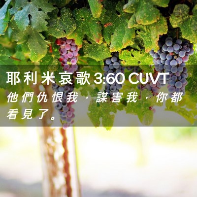 Picture 02 - 耶 利 米 哀 歌 3:60 CUVT - 他 們 仇 恨 我 ， 謀 害 我 ， 你 都 - Bible Verse Picture