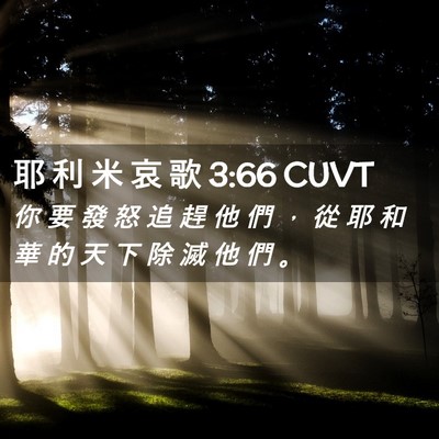 Picture 02 - 耶 利 米 哀 歌 3:66 CUVT - 你 要 發 怒 追 趕 他 們 ， 從 耶 和 - Bible Verse Picture