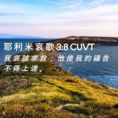 Picture 02 - 耶 利 米 哀 歌 3:8 CUVT - 我 哀 號 求 救 ； 他 使 我 的 禱 告 - Bible Verse Picture