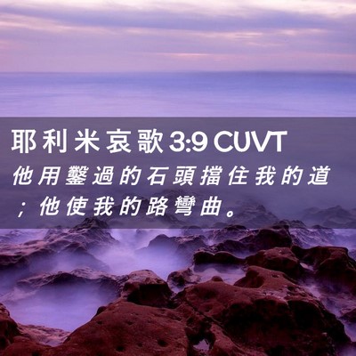 Picture 02 - 耶 利 米 哀 歌 3:9 CUVT - 他 用 鑿 過 的 石 頭 擋 住 我 的 道 - Bible Verse Picture