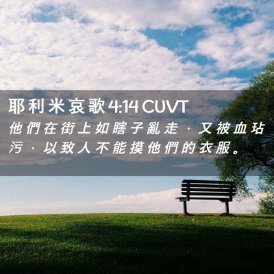 Picture 02 - 耶 利 米 哀 歌 4:14 CUVT - 他 們 在 街 上 如 瞎 子 亂 走 ， 又 - Bible Verse Picture