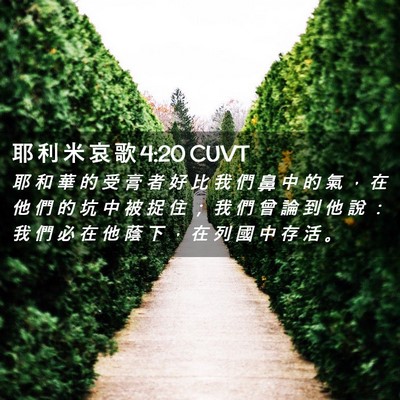 Picture 02 - 耶 利 米 哀 歌 4:20 CUVT - 耶 和 華 的 受 膏 者 好 比 我 們 鼻 - Bible Verse Picture