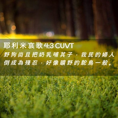 Picture 02 - 耶 利 米 哀 歌 4:3 CUVT - 野 狗 尚 且 把 奶 乳 哺 其 子 ， 我 - Bible Verse Picture