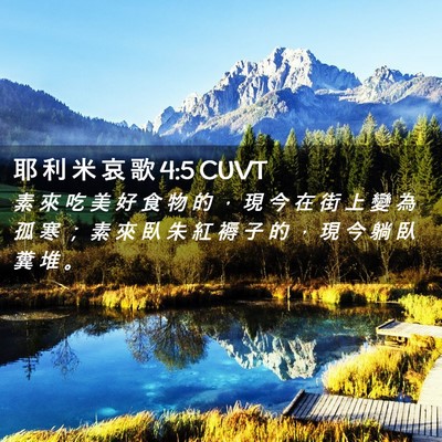 Picture 02 - 耶 利 米 哀 歌 4:5 CUVT - 素 來 吃 美 好 食 物 的 ， 現 今 在 - Bible Verse Picture