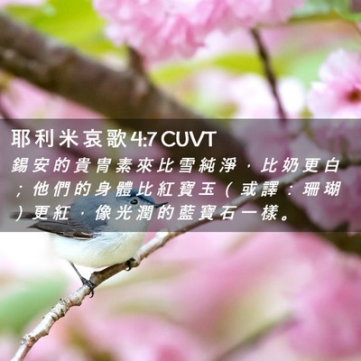 Picture 02 - 耶 利 米 哀 歌 4:7 CUVT - 錫 安 的 貴 冑 素 來 比 雪 純 淨 ， - Bible Verse Picture