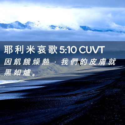 Picture 02 - 耶 利 米 哀 歌 5:10 CUVT - 因 飢 餓 燥 熱 ， 我 們 的 皮 膚 就 - Bible Verse Picture