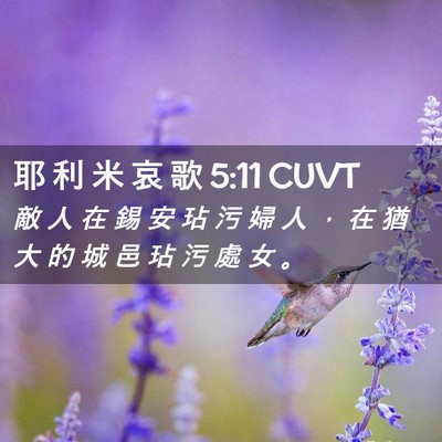 Picture 02 - 耶 利 米 哀 歌 5:11 CUVT - 敵 人 在 錫 安 玷 污 婦 人 ， 在 猶 - Bible Verse Picture
