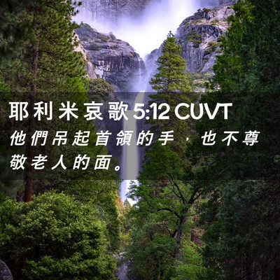 Picture 02 - 耶 利 米 哀 歌 5:12 CUVT - 他 們 吊 起 首 領 的 手 ， 也 不 尊 - Bible Verse Picture