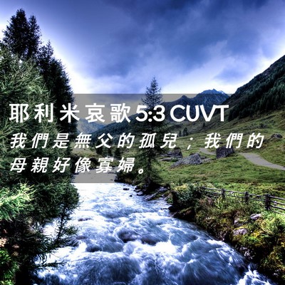 Picture 02 - 耶 利 米 哀 歌 5:3 CUVT - 我 們 是 無 父 的 孤 兒 ； 我 們 的 - Bible Verse Picture
