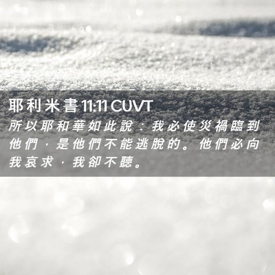 Picture 02 - 耶 利 米 書 11:11 CUVT - 所 以 耶 和 華 如 此 說 ： 我 必 使 - Bible Verse Picture