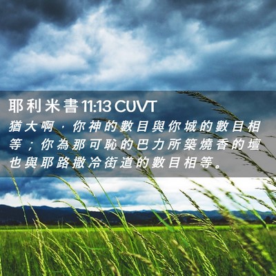 Picture 02 - 耶 利 米 書 11:13 CUVT - 猶 大 啊 ， 你 神 的 數 目 與 你 城 - Bible Verse Picture