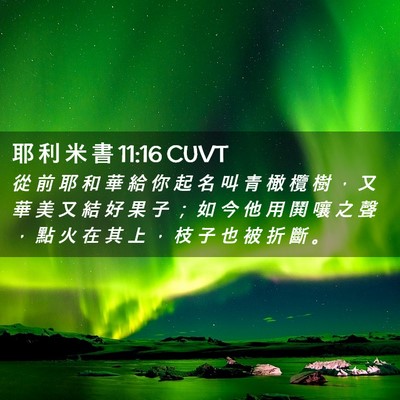 Picture 02 - 耶 利 米 書 11:16 CUVT - 從 前 耶 和 華 給 你 起 名 叫 青 橄 - Bible Verse Picture