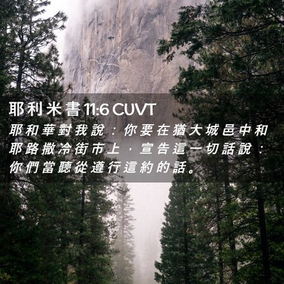 Picture 02 - 耶 利 米 書 11:6 CUVT - 耶 和 華 對 我 說 ： 你 要 在 猶 大 - Bible Verse Picture